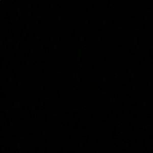 Meet your Posher, Bobby